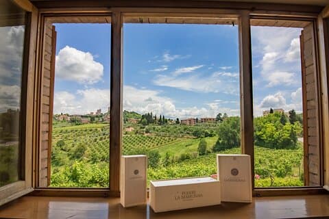 Private wine & Evo Oils Tasting with Vegetarian Meal