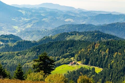 Tyskland Dagstur med Baden-Baden & Schwarzwald fra Strasbourg