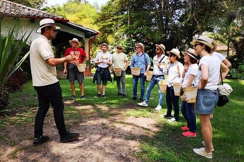 Visite pratique de la plantation de café au départ de Bogota Option basic