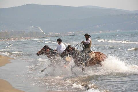 Paseos a caballo desde el puerto de Kusadasi para los huéspedes del crucero