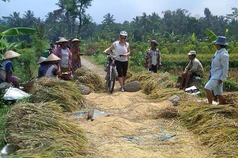 In bicicletta i templi UNESCO di Prambanan e Plaosan da Yogyakarta