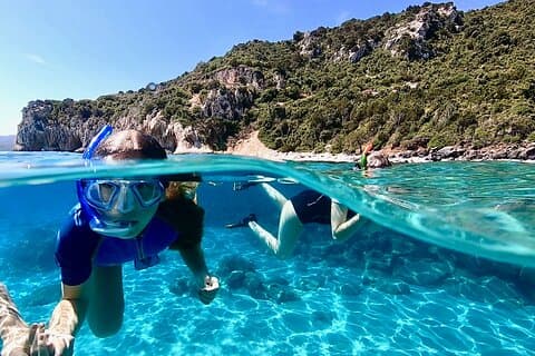 ¡Experiencia de snorkel para descubrir el delfín en ti!