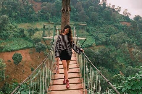 2in1 Tour: Avocado Farm + Private Tour in Antigua Guatemala
