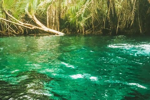 Cascate Materuni private per l'intera giornata e sorgente termale di Kikuletwa