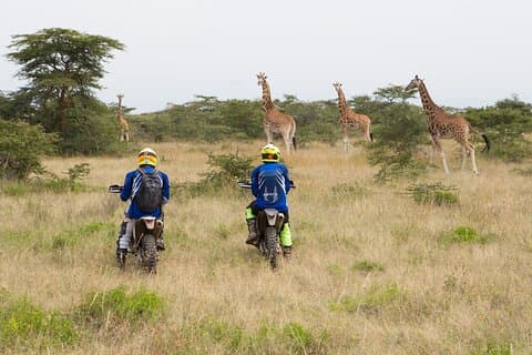 4 Tage unglaubliche Offroad-Motorradtour durch wild lebende Tiere in der Soysambu Conservancy