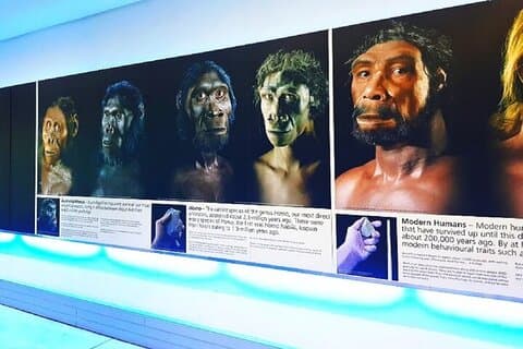 Wiege der Menschheit & Maropeng/sterkfontein Höhlen Tour