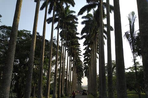 Traslados a los jardines de Aburi