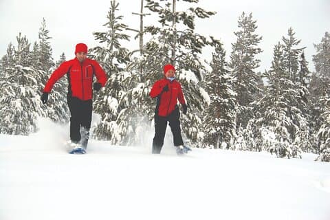 Sneeuwschoenwandeling met kampvuurbarbecue vanuit Rovaniemi