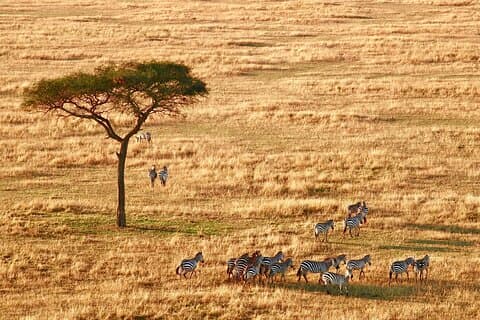 Acampamento de 4 dias no Big Five Private Safari