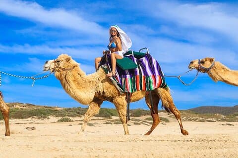 Aventure à dos de chameau sur la plage à Los Cabos