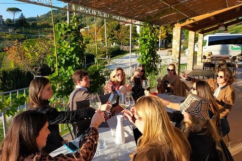 Wine tour in the hills of Lucca with sommelier - 2 wineries