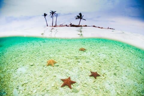 ¡3 días en las islas San Blas! Tour por la playa y la jungla incluye la casa de papel