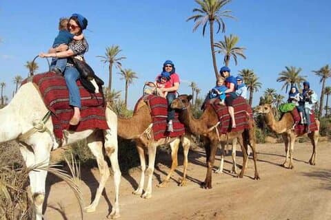 Visite Agadir Medina with camel or Hors riding