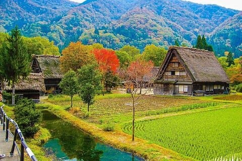 Shirakawago och Takayama 2-dagarstur från Osaka eller Kyoto
