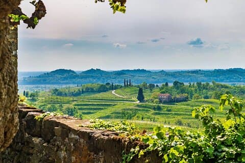 Wine tasting in the Collio wine area, guided tour of Cividale.