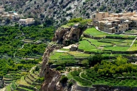 Heldags privat Nizwa/Jebel Akhdar