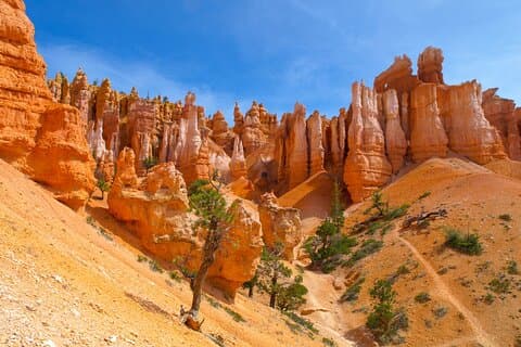 Zion, Bryce, Antelope, Grand Canyon, Las Vegas 6-Day Tour from SF