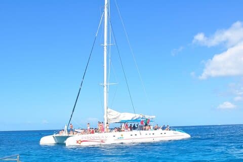 Full Day Tour Saona Island by speedboat from Punta Cana