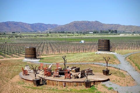 Valle de Guadalupe Privatfahrer und Fahrzeug 10 Stunden