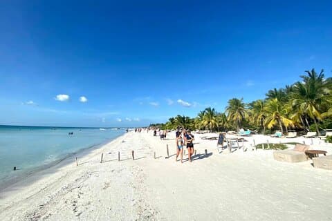 Tour de playa en Holbox! Punta Cocos + Transporte redondo