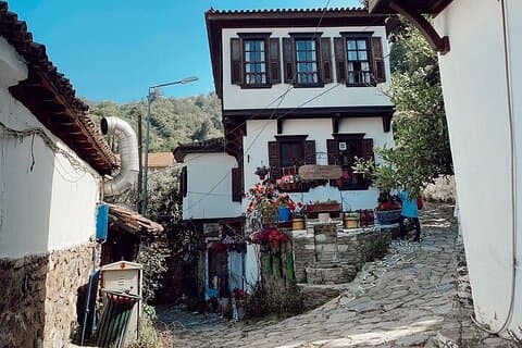 Privérondleiding door Efeze, Artemis-tempel en Sirince Village
