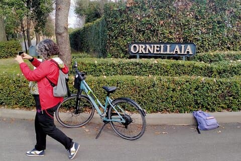 Private E-bike Tour in Bolgheri with Cooking Lesson