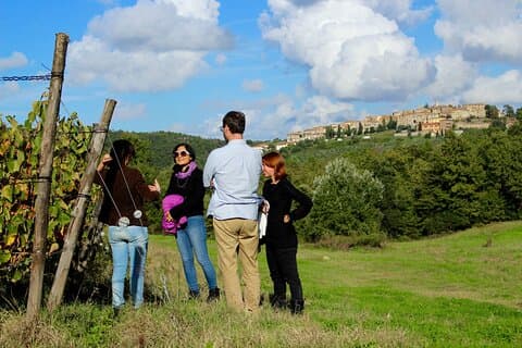 Wine Tasting and Visit to the Vineyard and Cellar in Trequanda