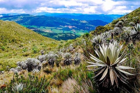 Explora el Parque Natural Chingaza