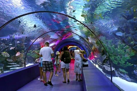 Antalya : Akvarium, voksmuseum og kombinasjonspakkealternativer