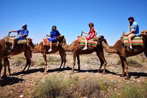 Atlas Mountains and Camel ride Day trip, from Marrakech