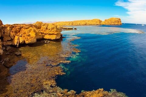 Ras Mohamed Half-Day By Bus from Sharm el-Sheikh
