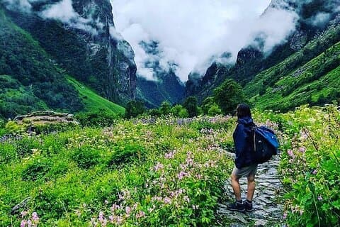 7-Day Trekking Tour to Visit Valley Of Flowers In Uttarakhand