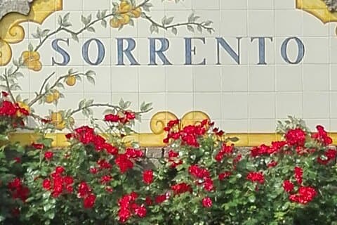 Excursion d'une demi-journée à Pompéi au départ de Sorrente