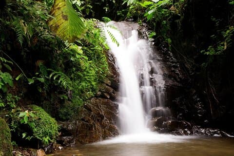 Private Mindo Cloud Forest Adventure