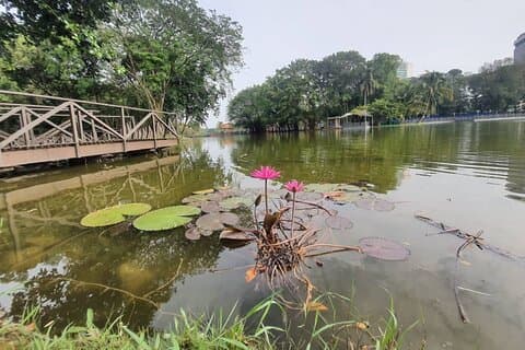 2 visites privées en 1 : Lake Gardens + la plus grande mosquée de Malaisie