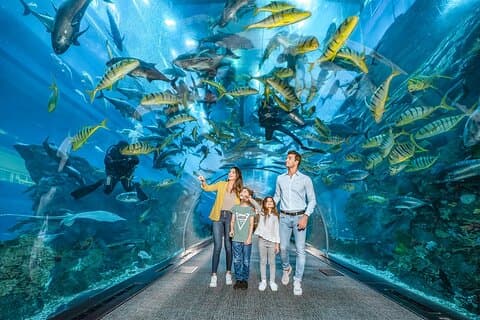 Biglietti Explorer per l'acquario e lo zoo sottomarino di Dubai