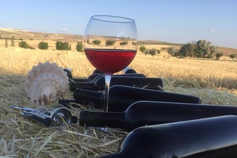 Weinprobe in Kappadokien