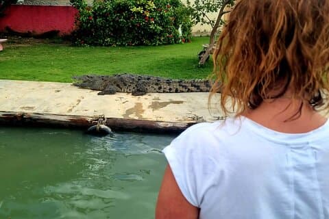 オマールのブラック リバー サファリ、モンテゴ ベイからの YS フォールズ ツアー