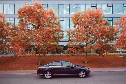 PRAG till BERLIN - stopp i DRESDEN med LIMOUSINE 3+1pax