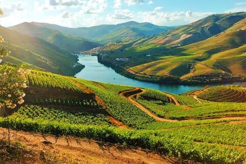 Douro Valley - Relaxed Departure from Porto