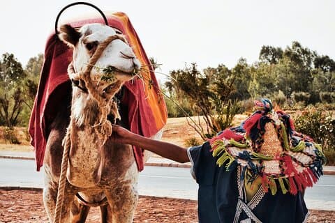 Excursión de un día - Casablanca> Marrakech
