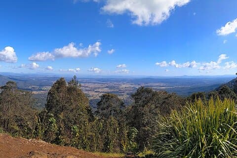 Tamborine Mountain og Paradise Point Tour fra Brisbane