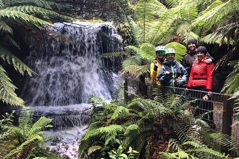 Easy Bike Tour - Mt Wellington Summit Descent & Rainforest Ride