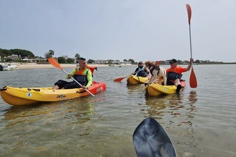 Half-Day Private Guided Kayak Island Tour
