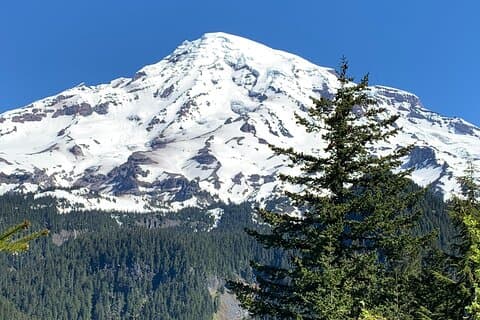 Guidet vandretur på Mt. Rainier - gamle skov, vandfald og udsigt over gletsjeren
