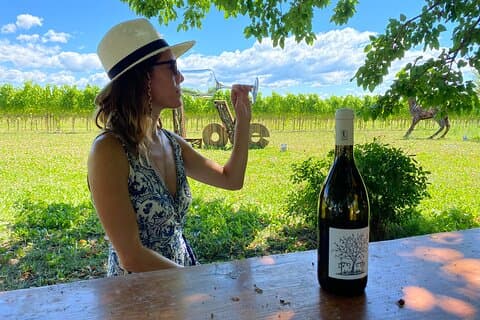 Winery tour and tasting in Grado