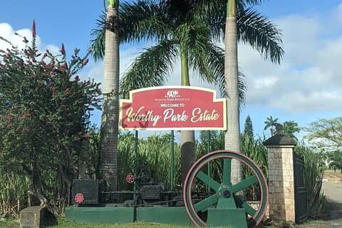 Verdig Park Estate Rum Tour fra Ocho Rios