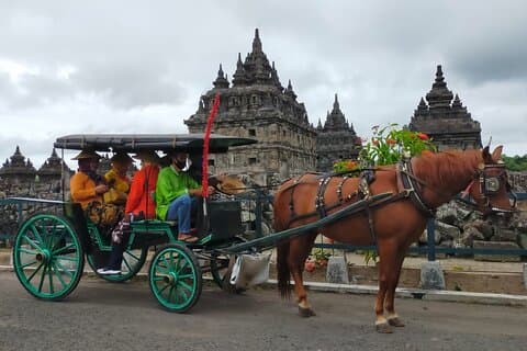 Autentisk Andong-tur