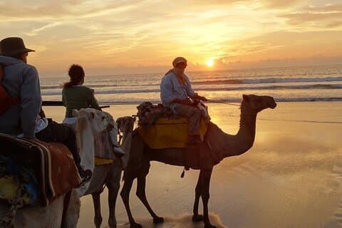 1 Day Dromedary Ride Near Essaouira
