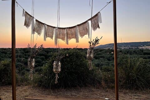 Guided Tour of the Centenary Olive Trees with Tasting in Escolca
